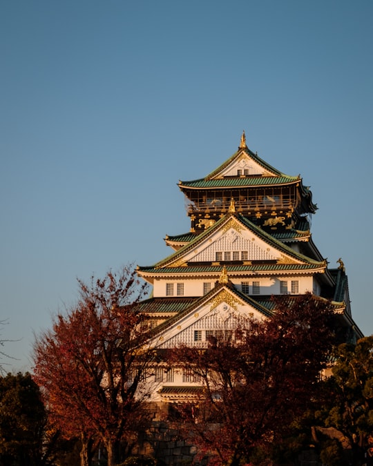 white and green temple beside trees during day in Osaka Castle Park Japan