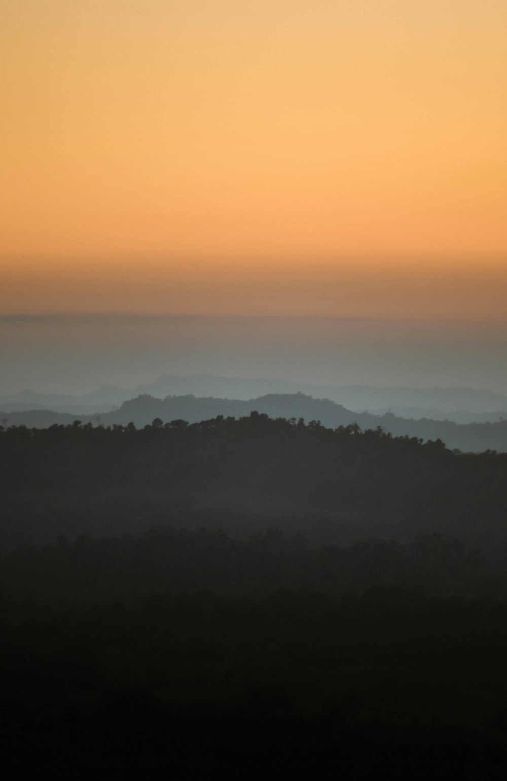 green trees