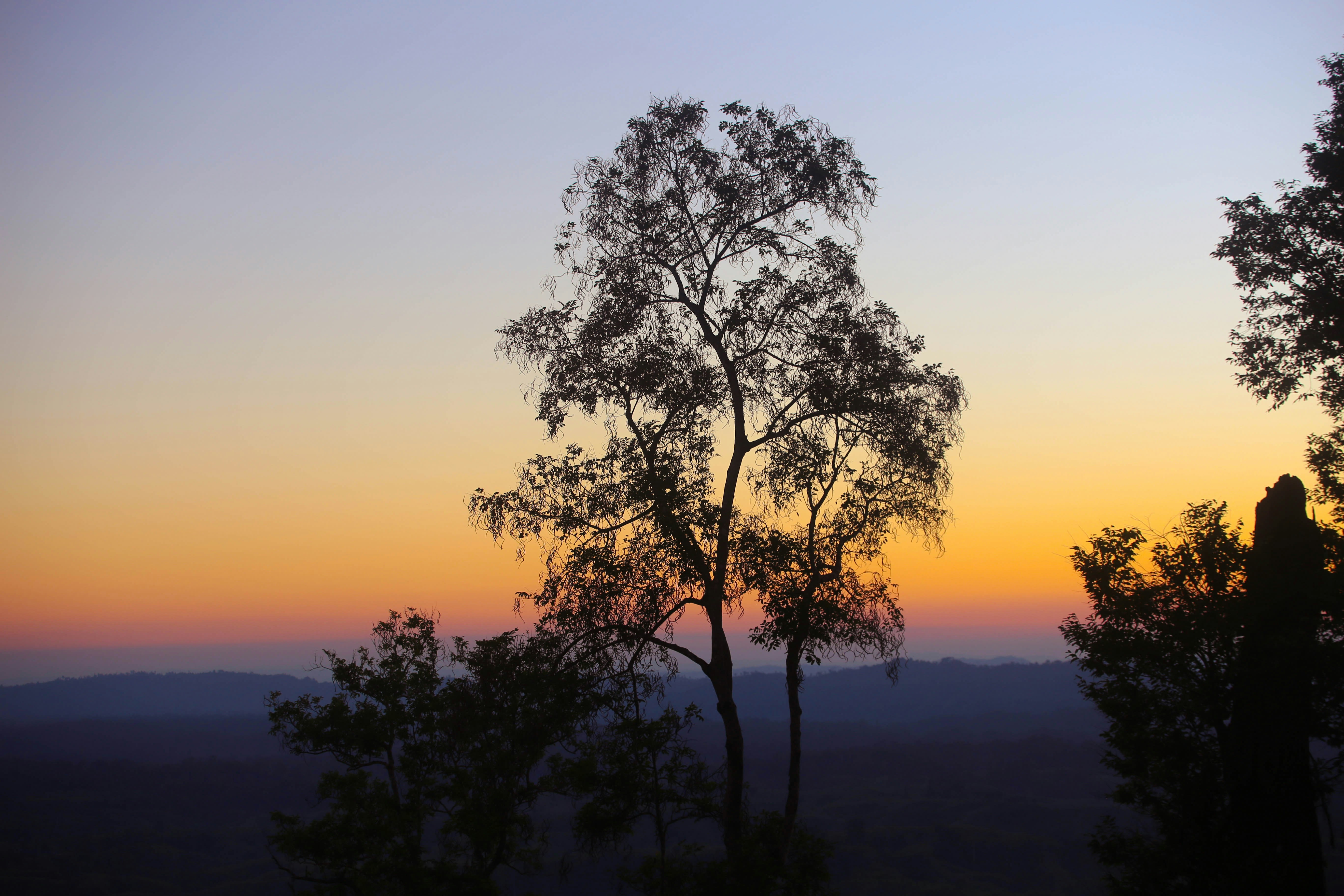 The beautiful plains of Bangladesh during the Sunset.