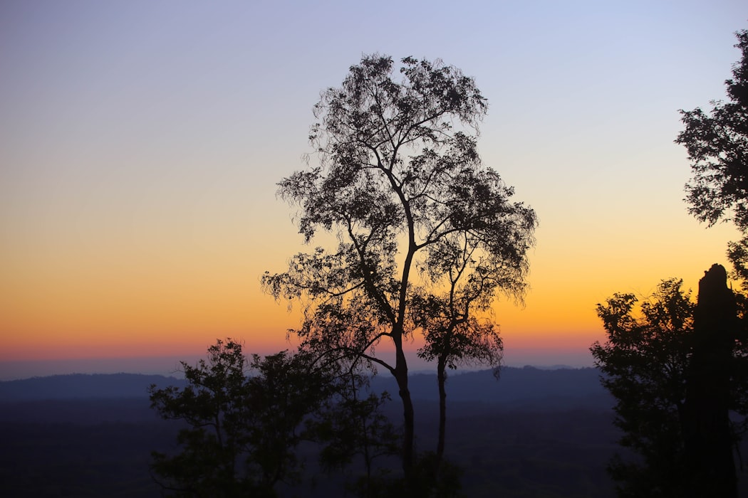 The beautiful plains of Bangladesh during the Sunset.