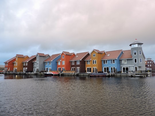 Ideal neighbor things to do in Lauwersoog