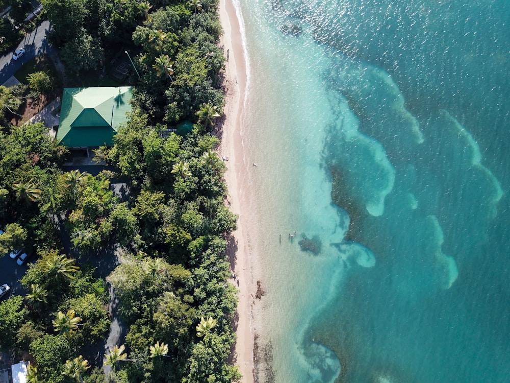 Fotografía aérea de casas y edificios rodeados de árboles verdes cerca de cuerpos de agua durante el día