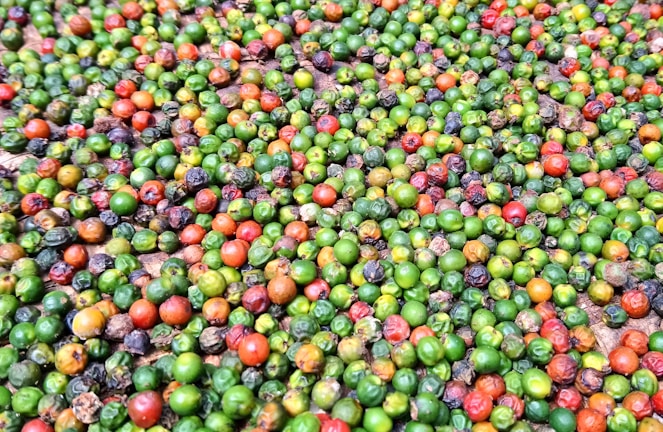 A large assortment of colorful, round peppercorns spread out, displaying a mix of red, green, and black hues. The peppercorns vary in size and color intensity, creating a vibrant, textured pattern.