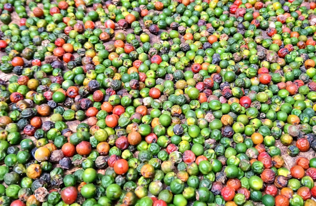 Black Pepper