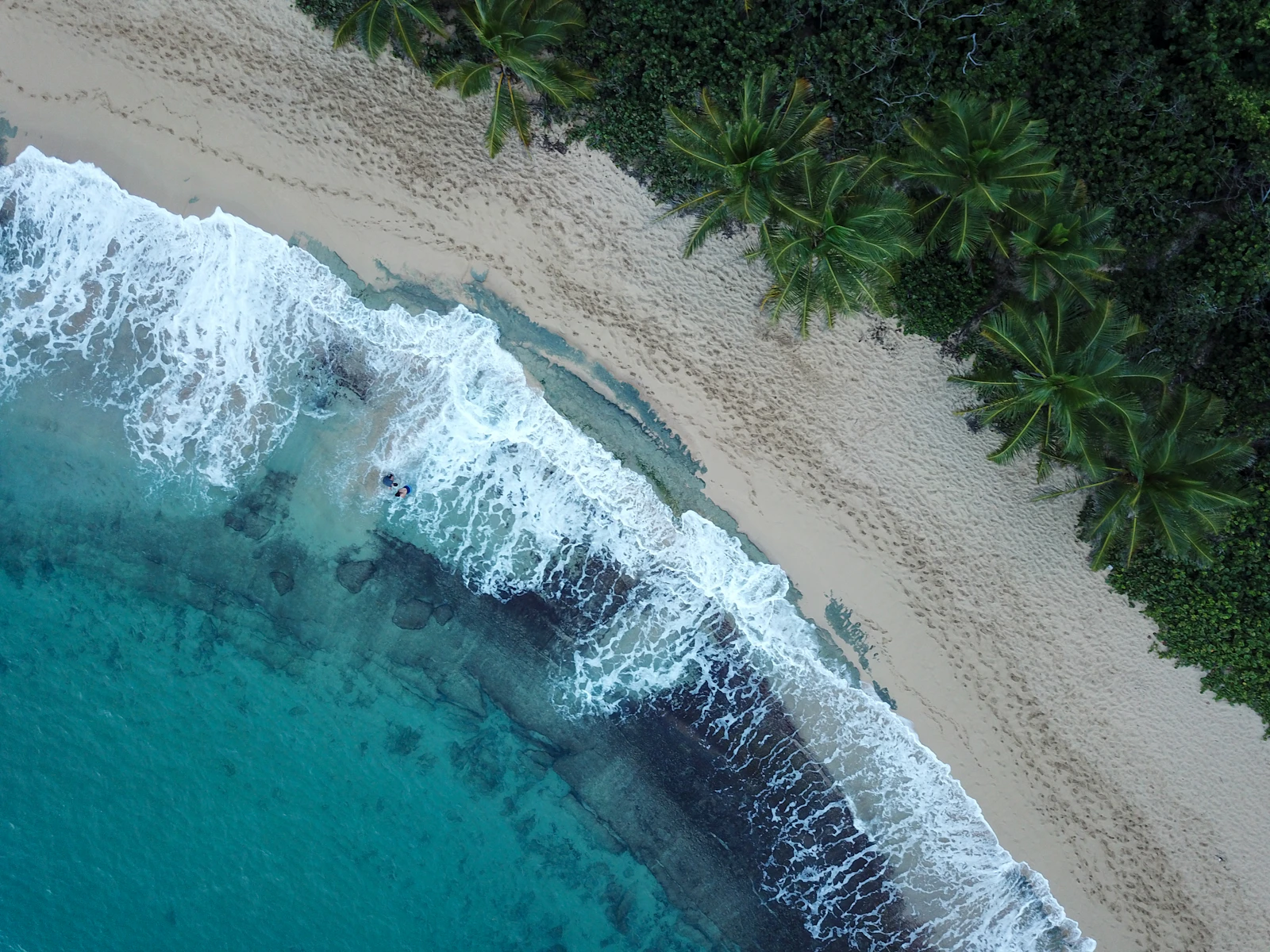 The St. Regis Bahia Beach Resort, Puerto Rico