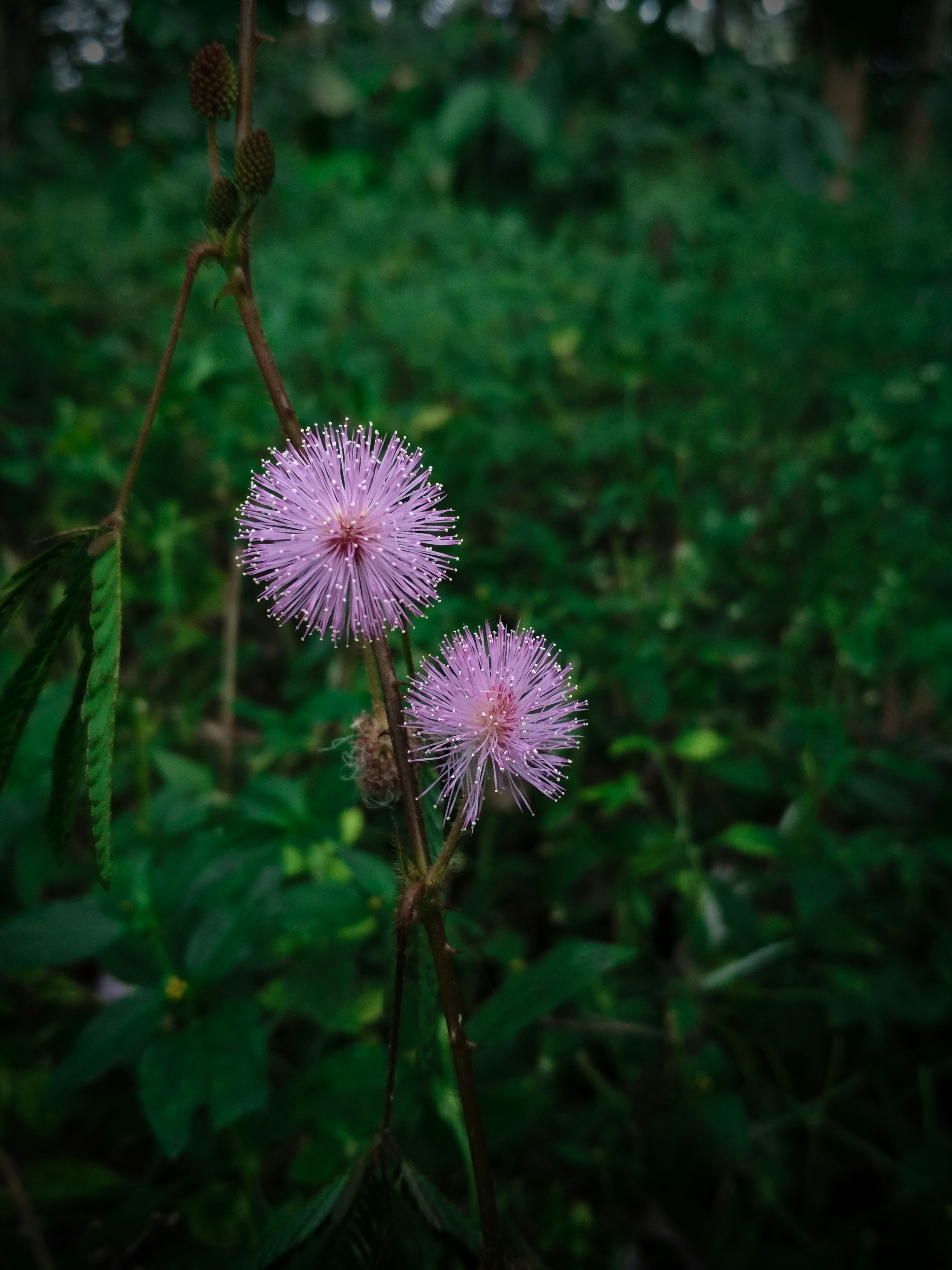 Photo by accreationz_24