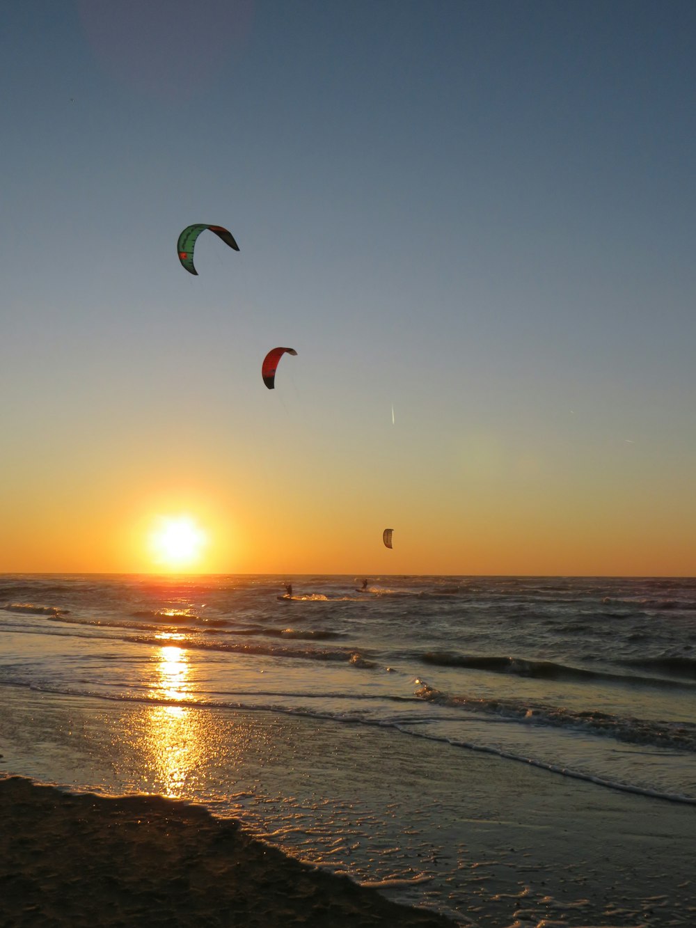 Gleitschirmfliegen in drei verschiedenen Farben an der Küste während der Morgendämmerung