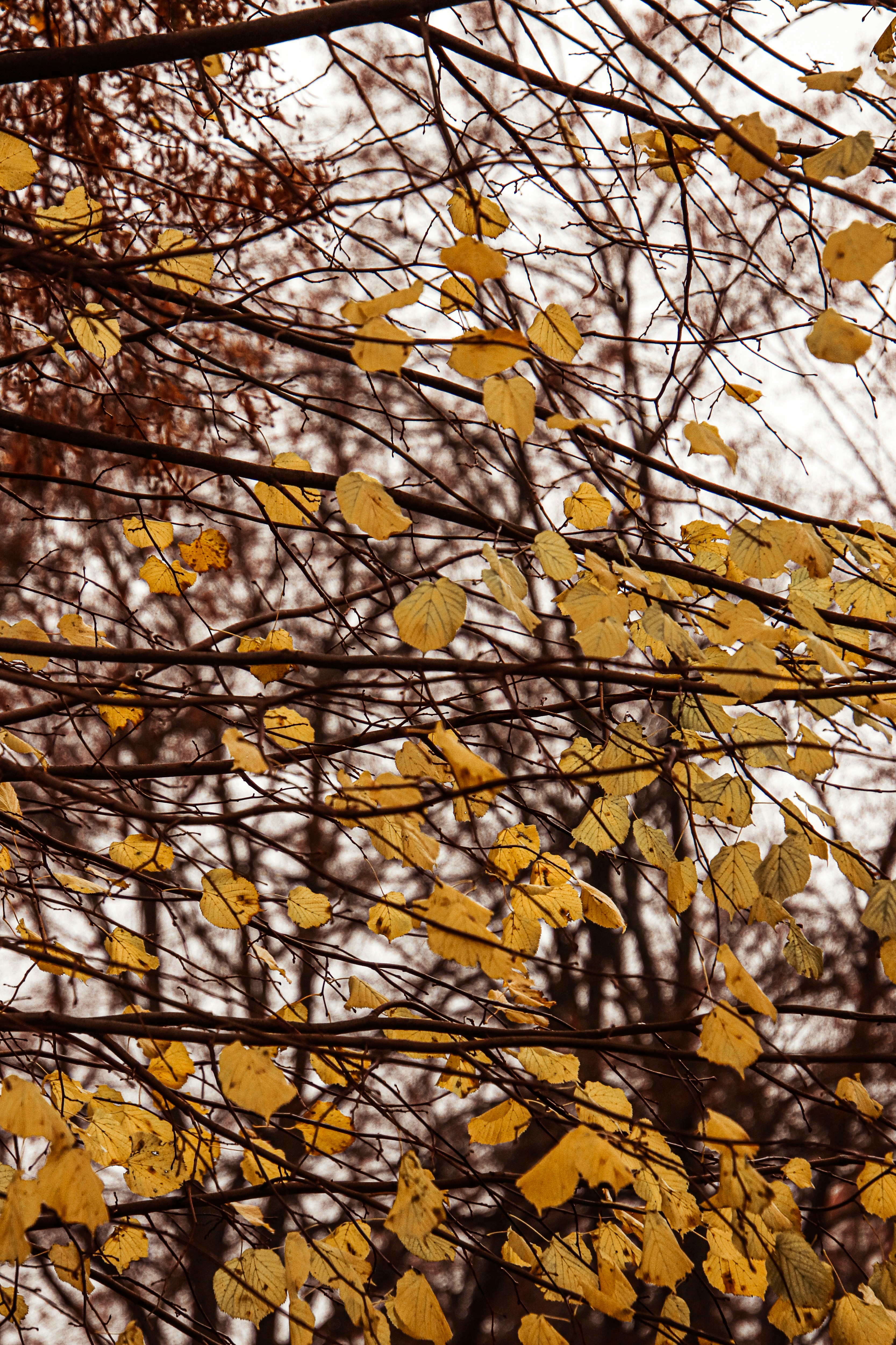 Photo by dc_snapshots