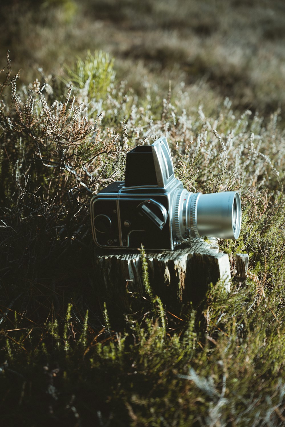 black and gray camera in grass