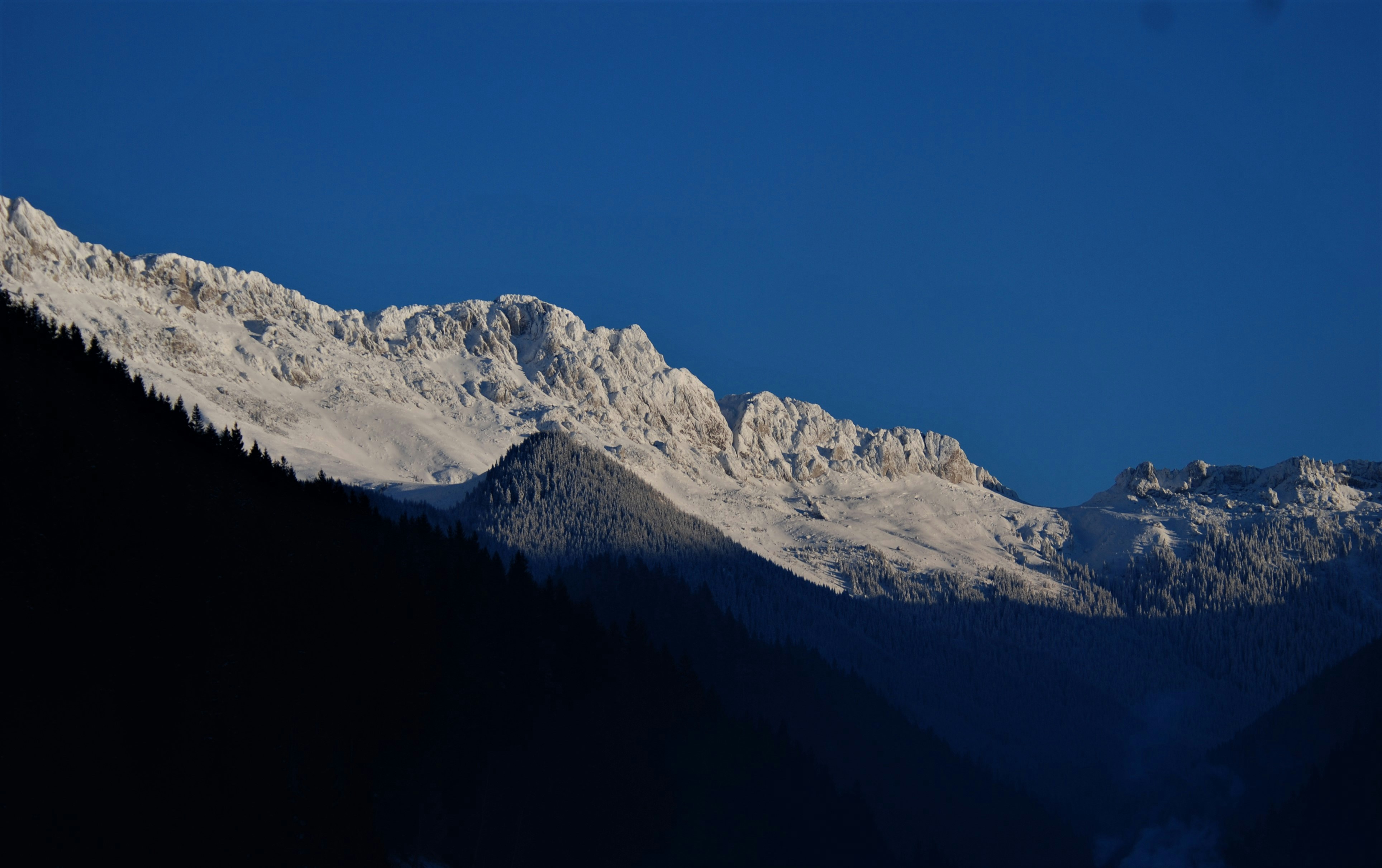 Photo by dianavasile