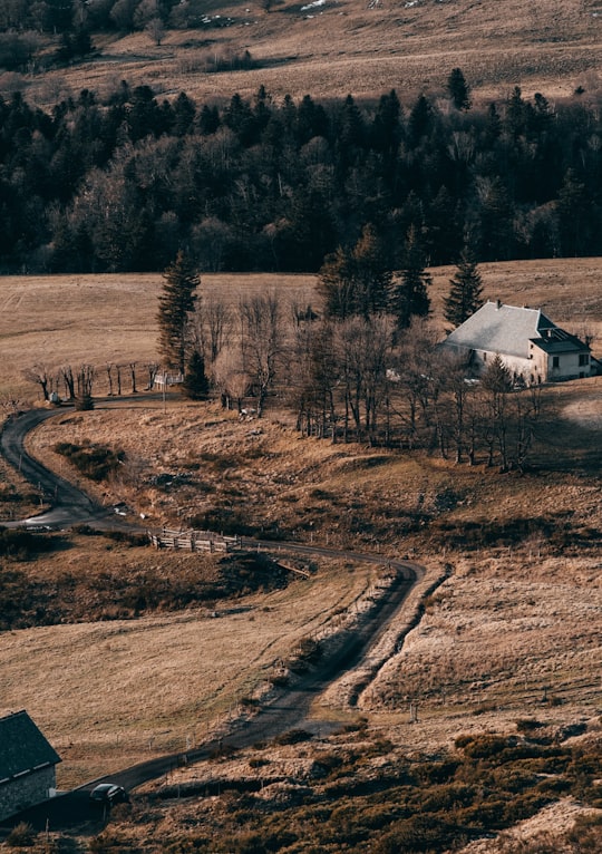 photo of Mont-Dore Plain near Puy de Dôme