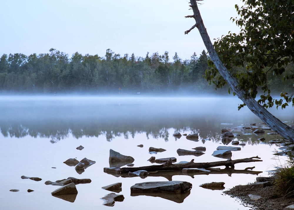 calm body of water