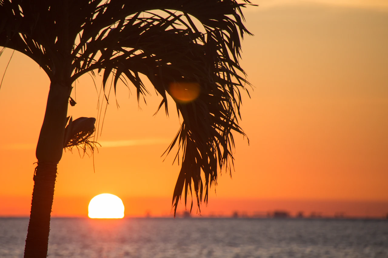 Cheap Flights to Orlando: The Complete 2026 Fare Guide
