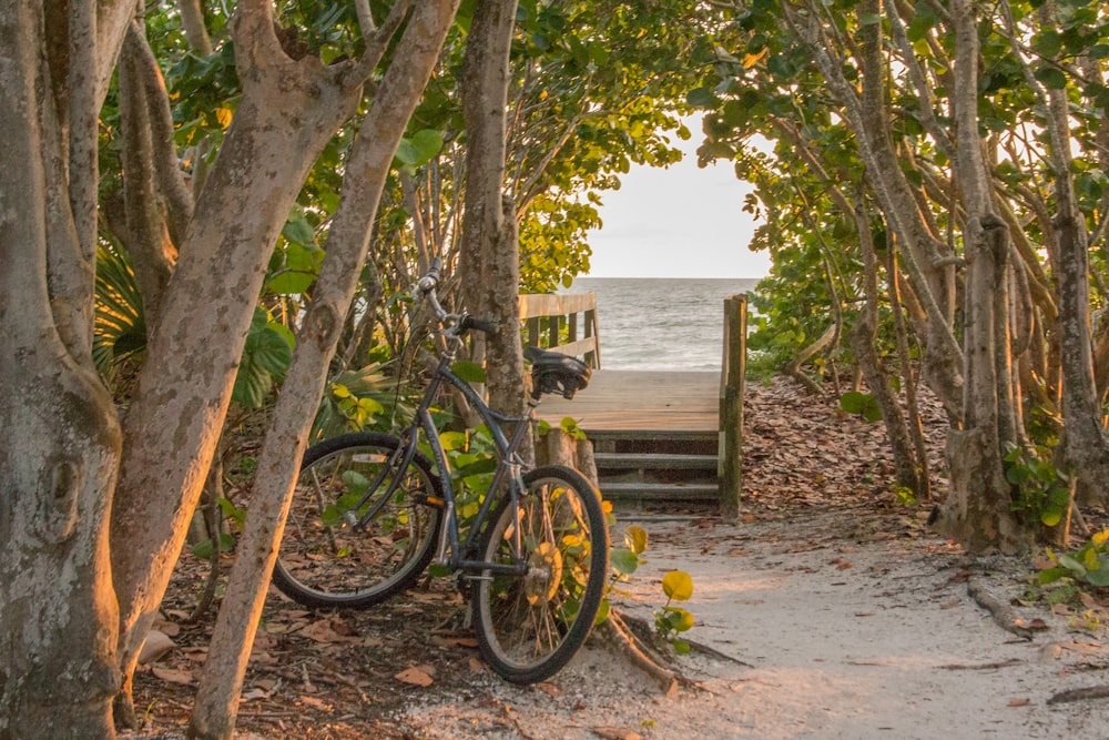 a bike is parked on a path between trees