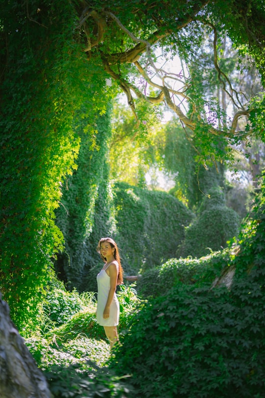 woman standing beside green-leafed plants during daytime in Perth WA Australia