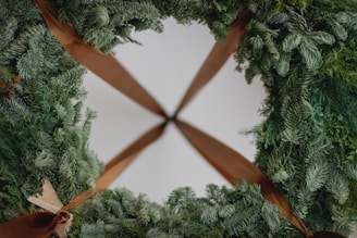 A large, lush green wreath made of pine branches is adorned with ribbons that are a rich brown color. The wreath appears symmetrical and festive, suggesting a holiday decoration.