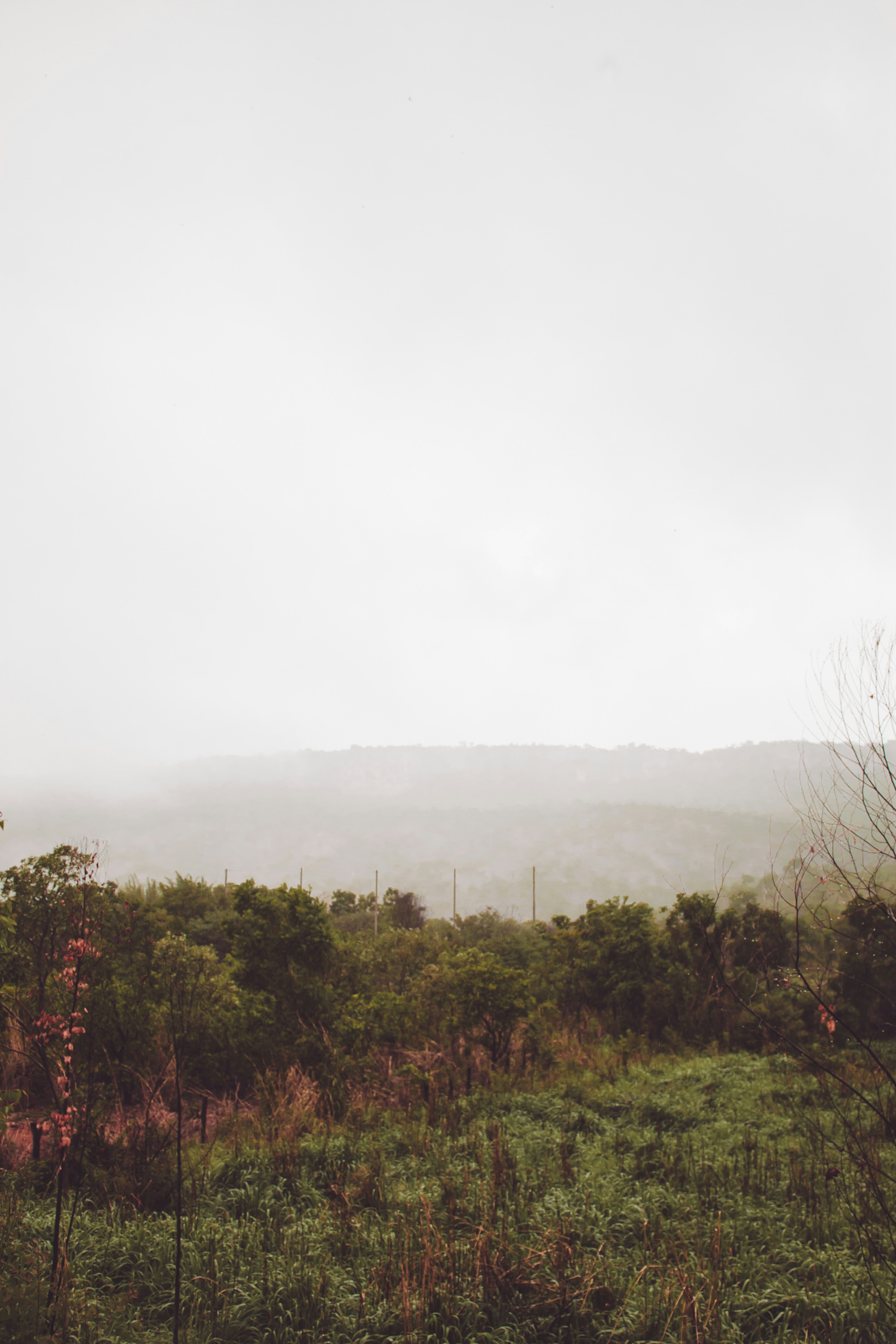 Photo by divanildoslv