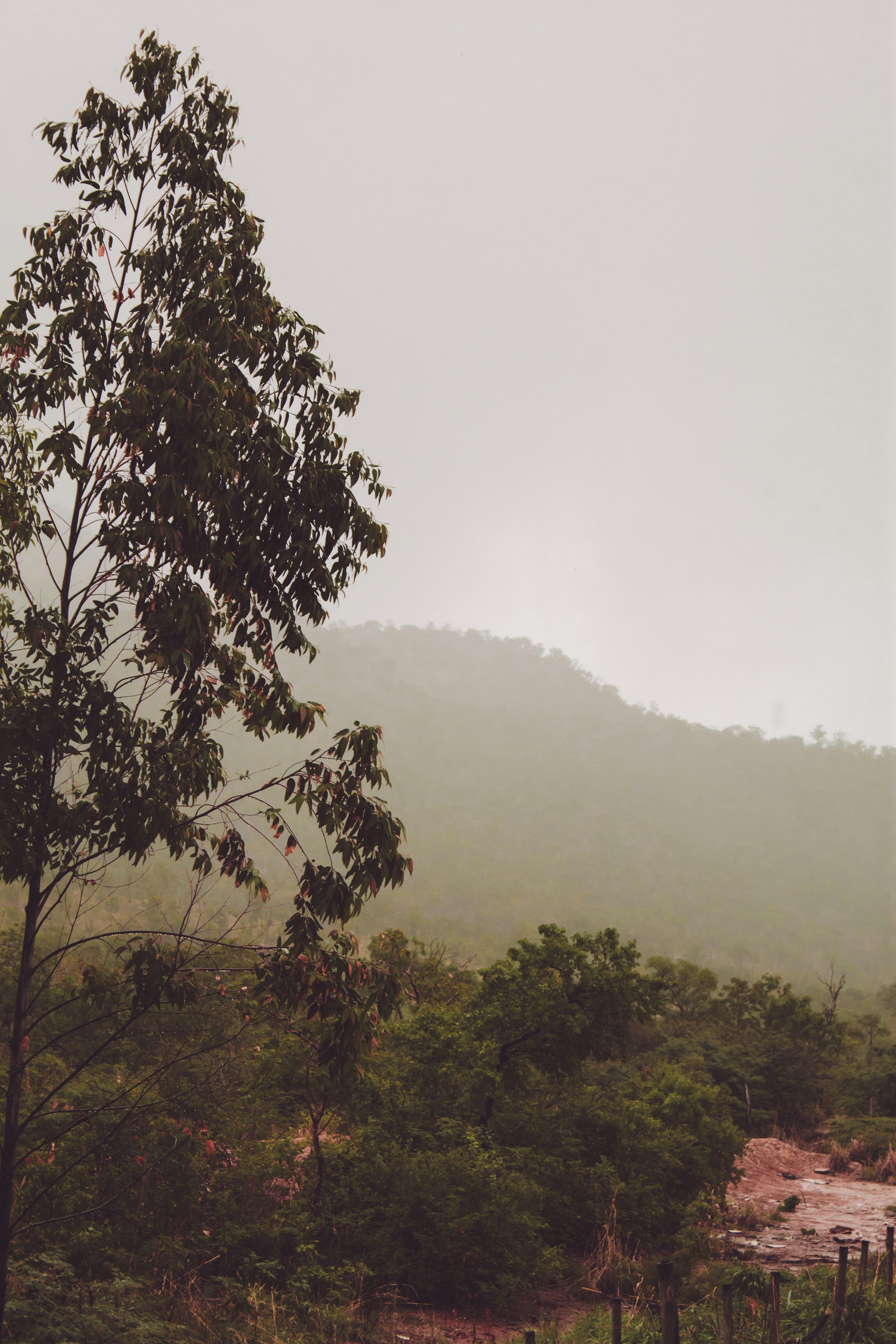 Photo by divanildoslv