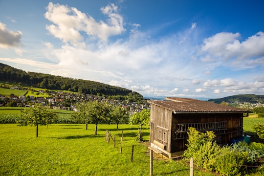 brown wooden house on green field under white and blue sky in Frenkendorf Switzerland