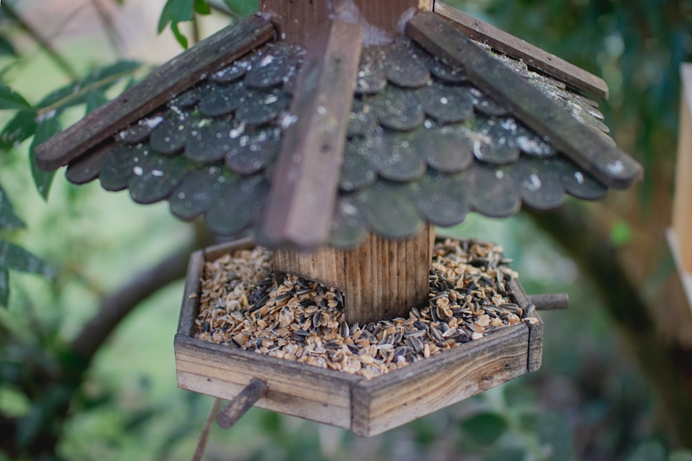 Miniatura de pozo marrón y negro