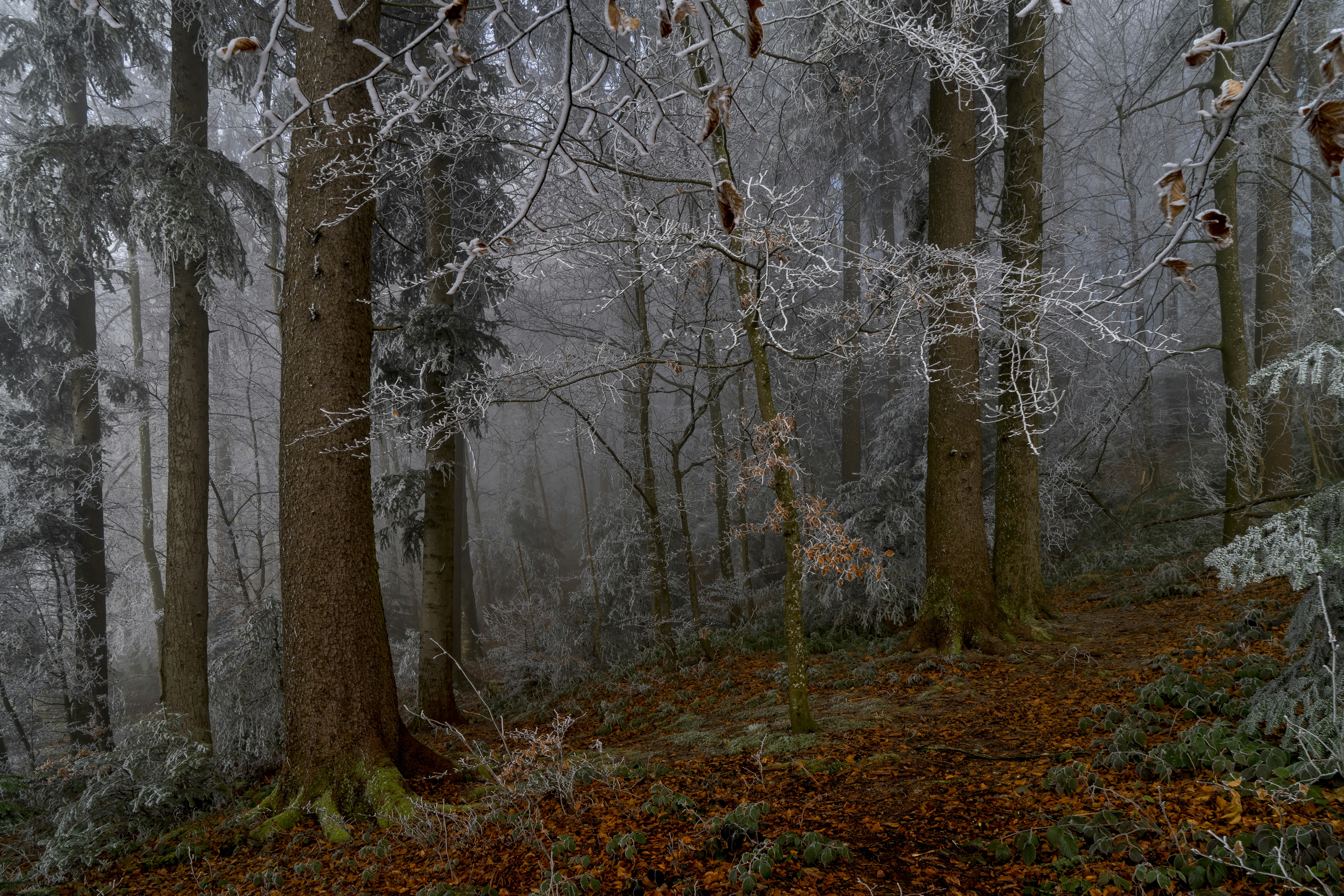 Photo by rgaleriacom