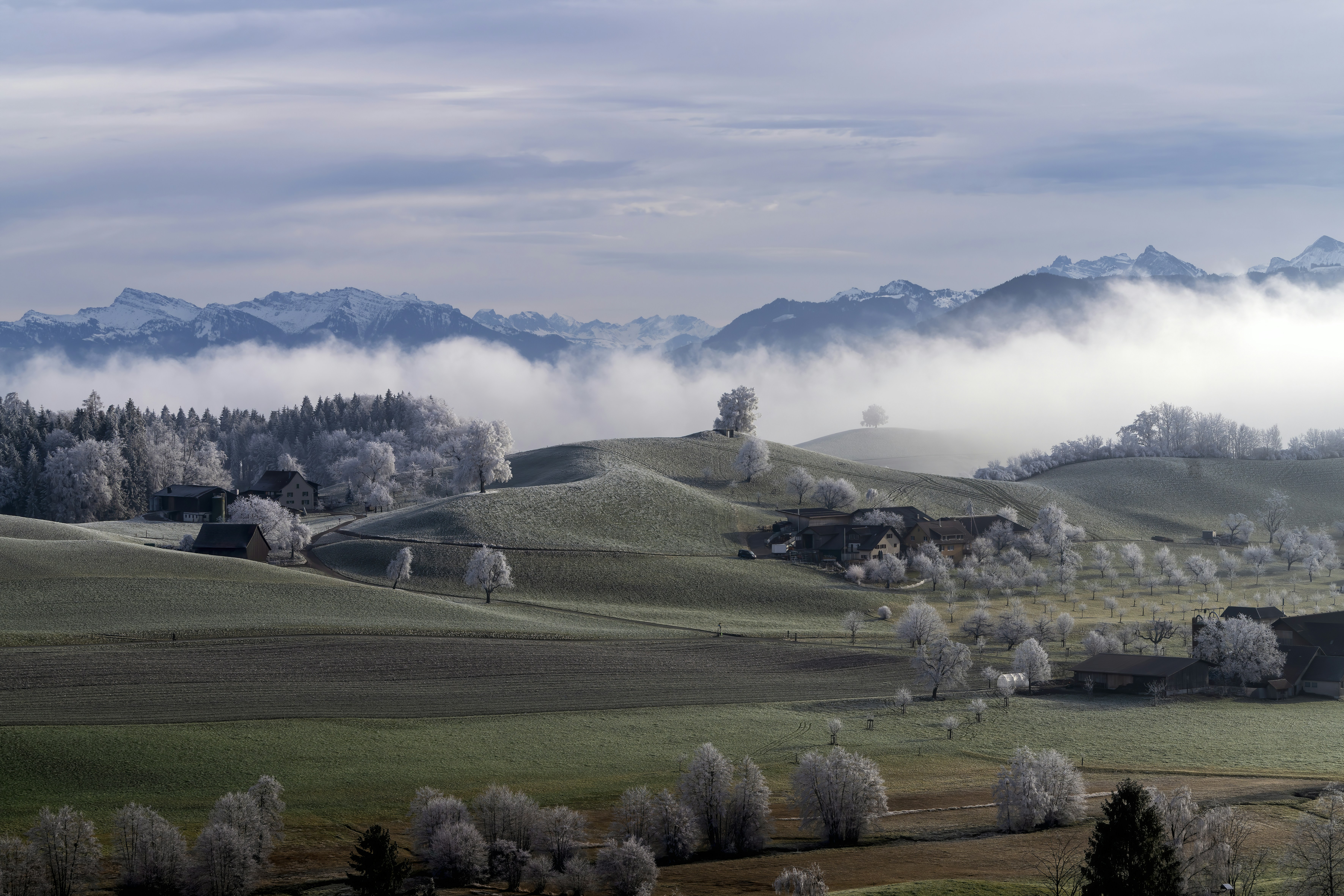 Field Landscapes | 5 best free field, outdoor, hill and countryside