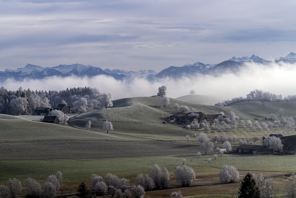 a view of a mountain range covered in fog