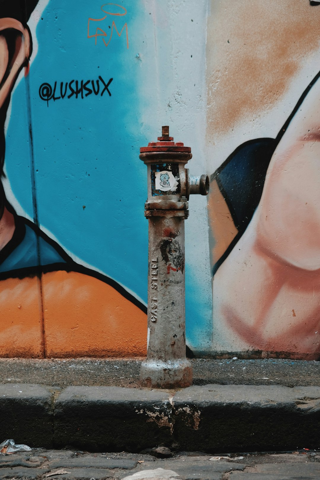 gray fire hydrant during daytime