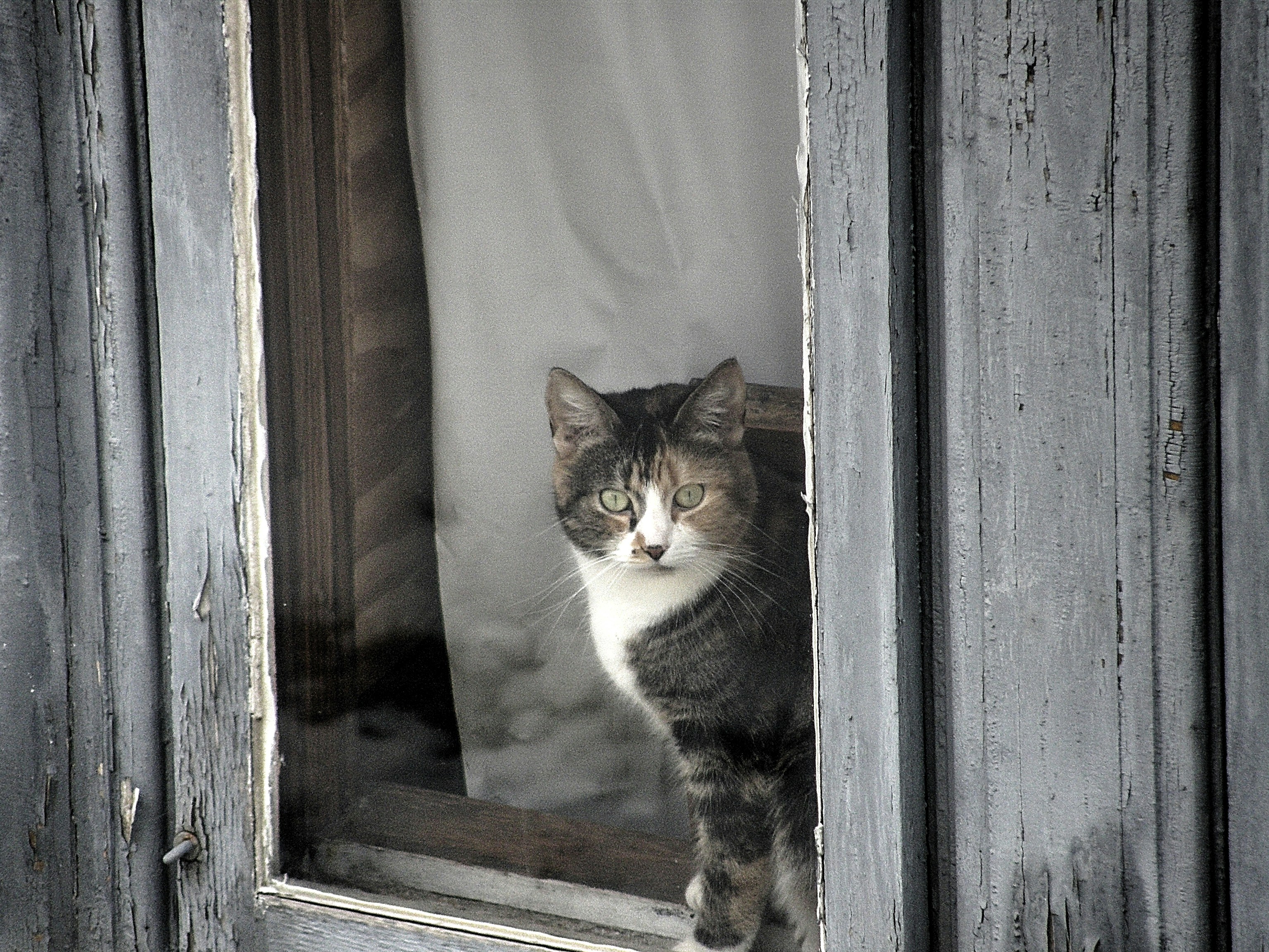 Photo by samoset_1937