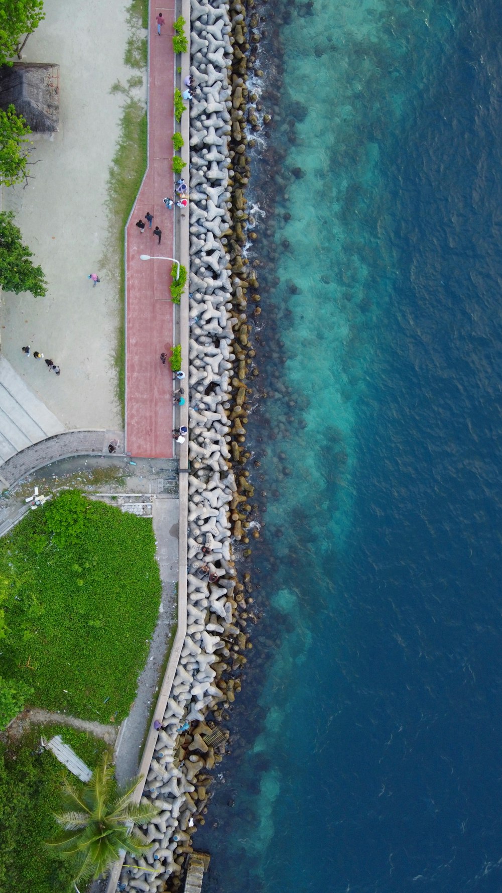 aerial photography of seashore during daytime