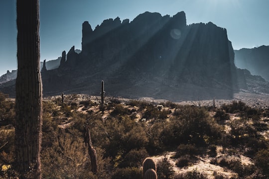 Mountain things to do in Gilbert Arizona Temple