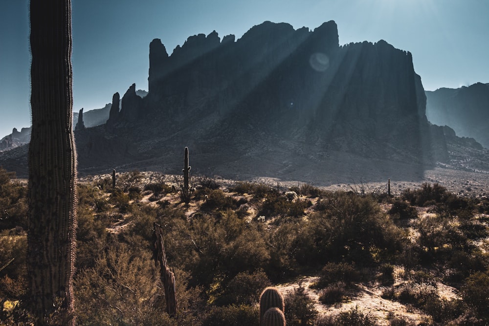 photography of mountain range during daytime