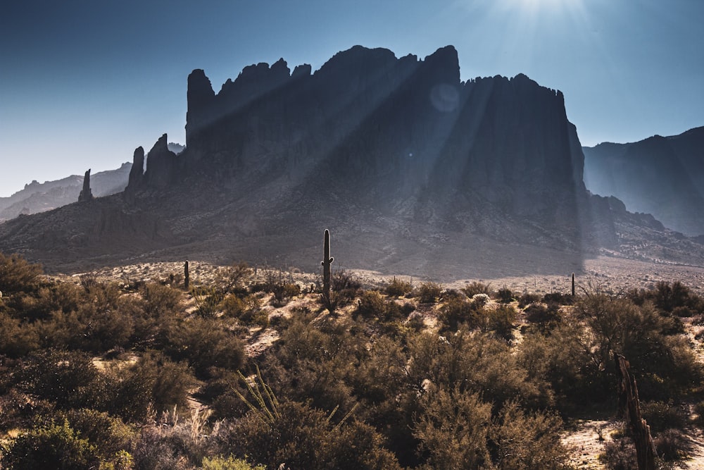 photography of mountain range during daytime