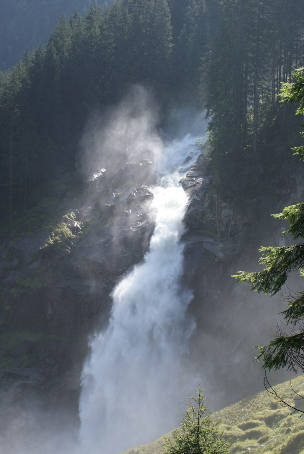 clear waterfalls surrounded by trees during day