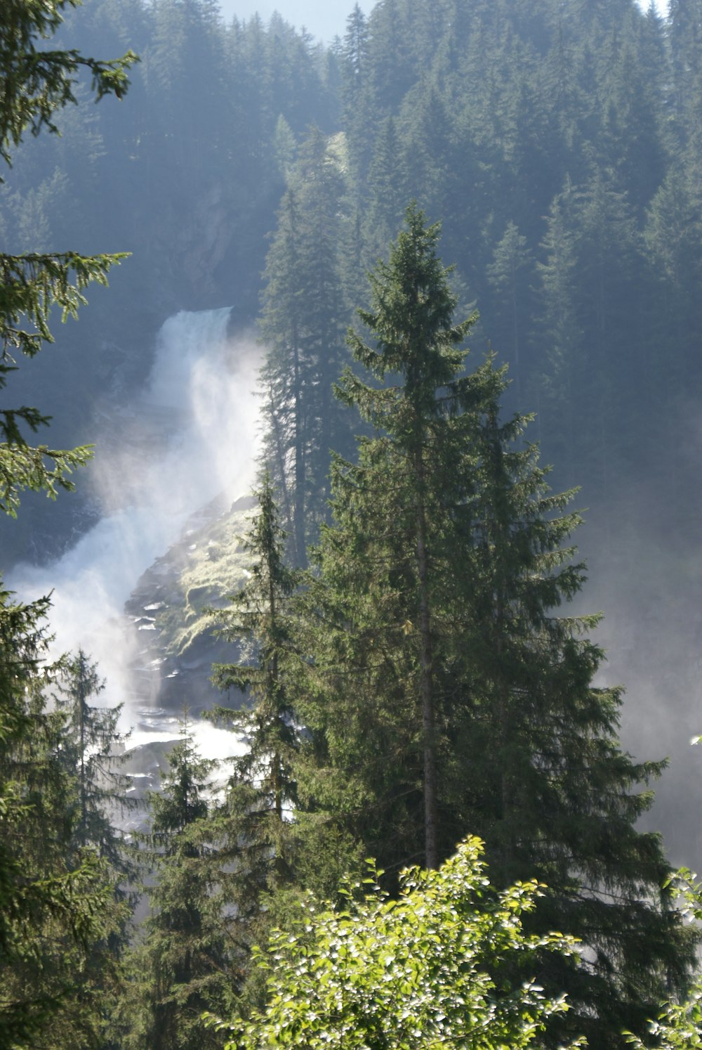 waterfall between trees