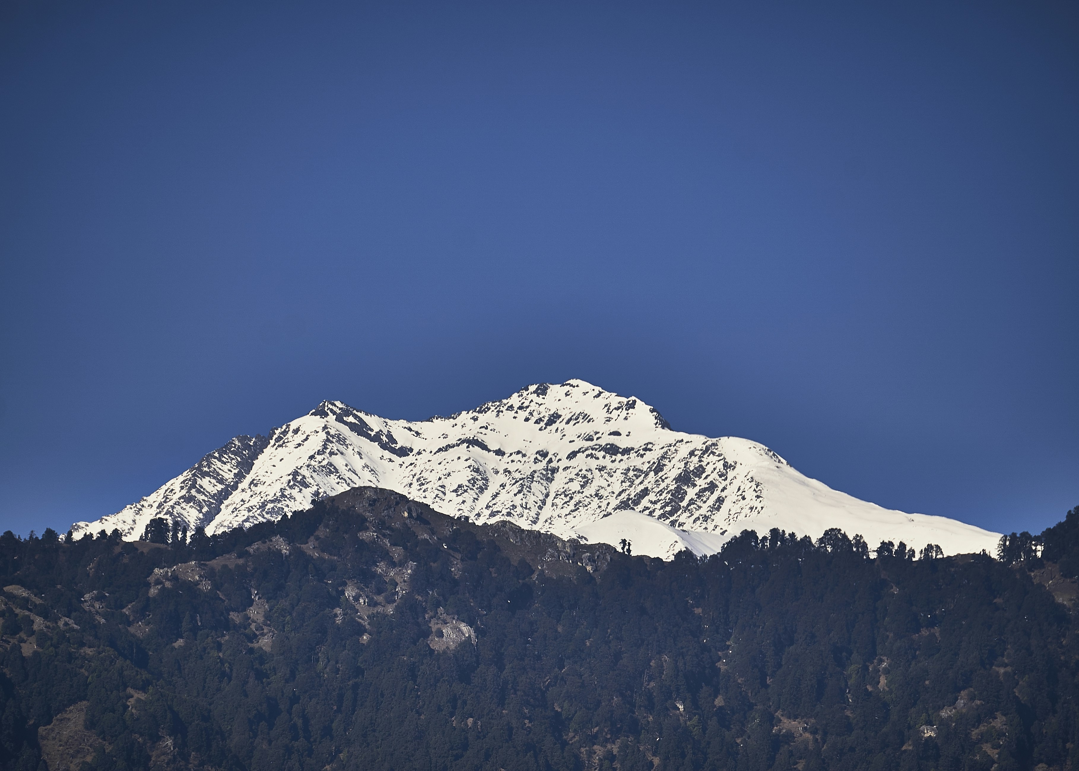 Photograph by Ashwini Chaudhary