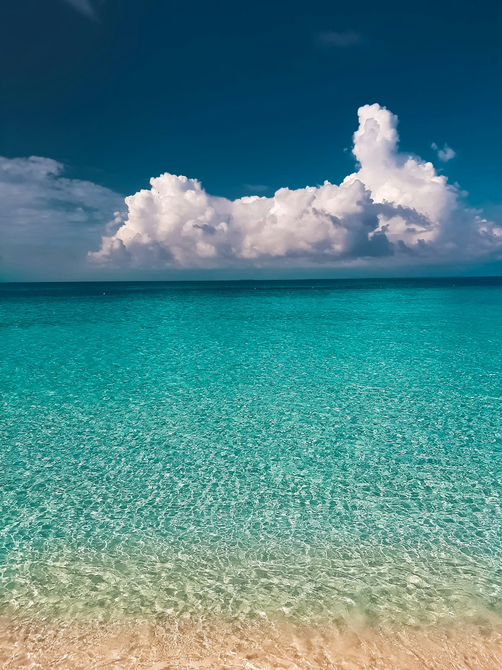 photography of seashore during daytime