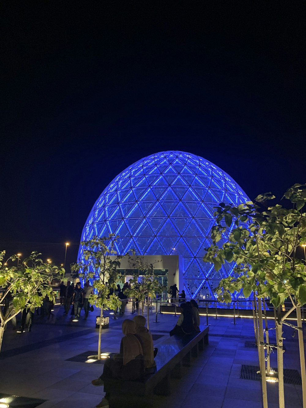 people near blue dome building during night time