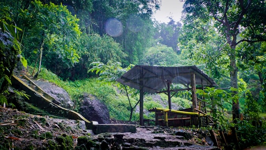 photo of Kendal Jungle near Lawang Sewu