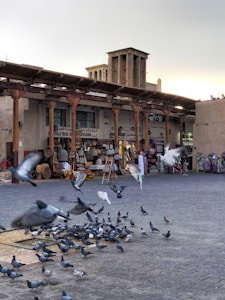 Pigeons are gathered and flying in an outdoor marketplace scene. Several wooden tables and woven baskets are displayed under a shaded area supported by wooden pillars. Traditional architecture with wind towers is visible in the background. A few people are browsing the goods.