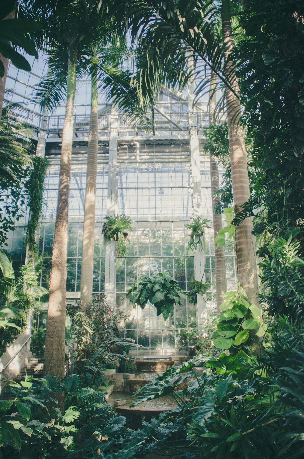 plants and trees in greenhouse