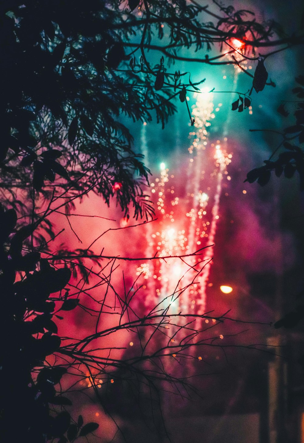 photography of fireworks during nighttime