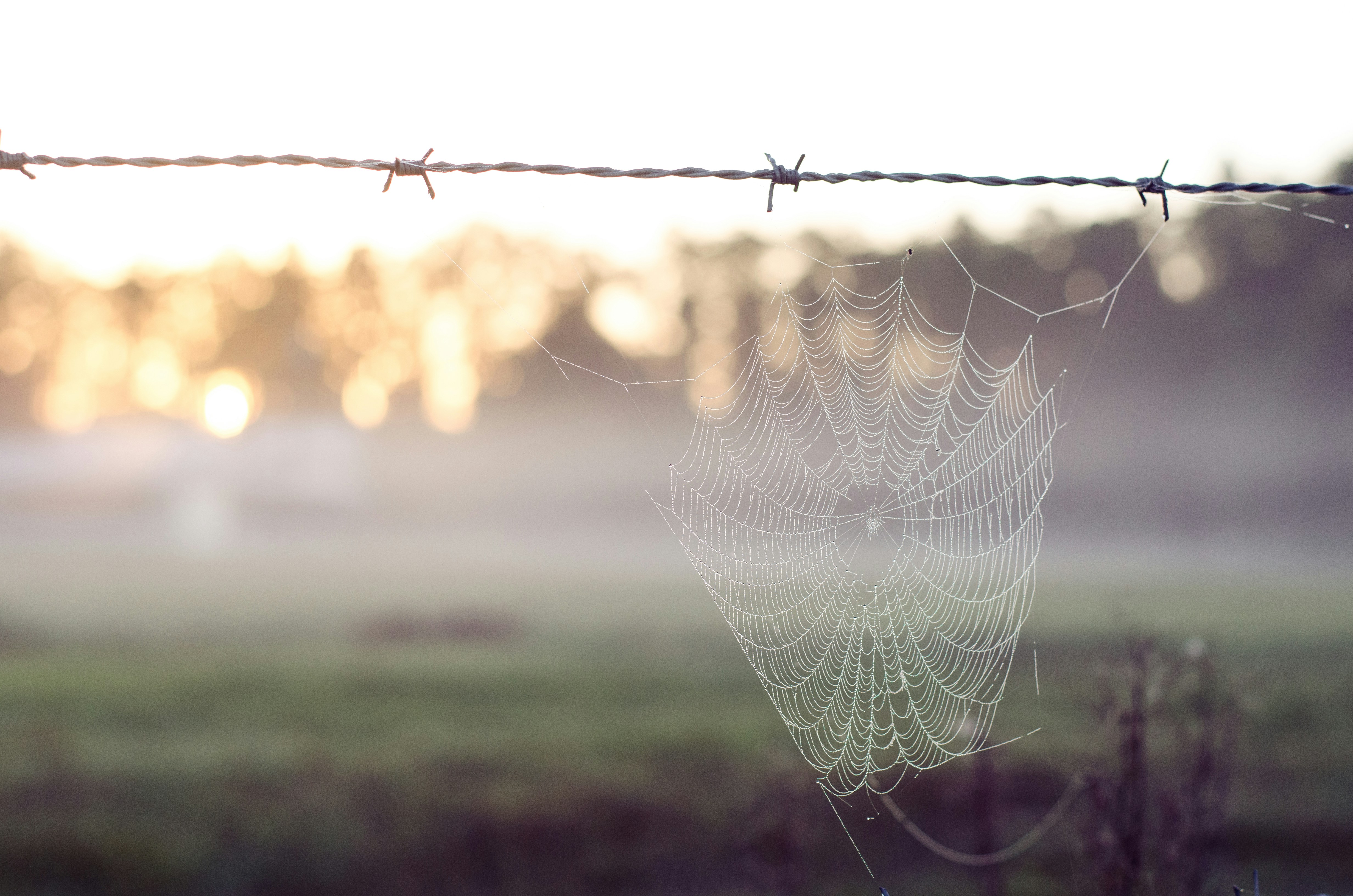 Photo by ameliabartlett