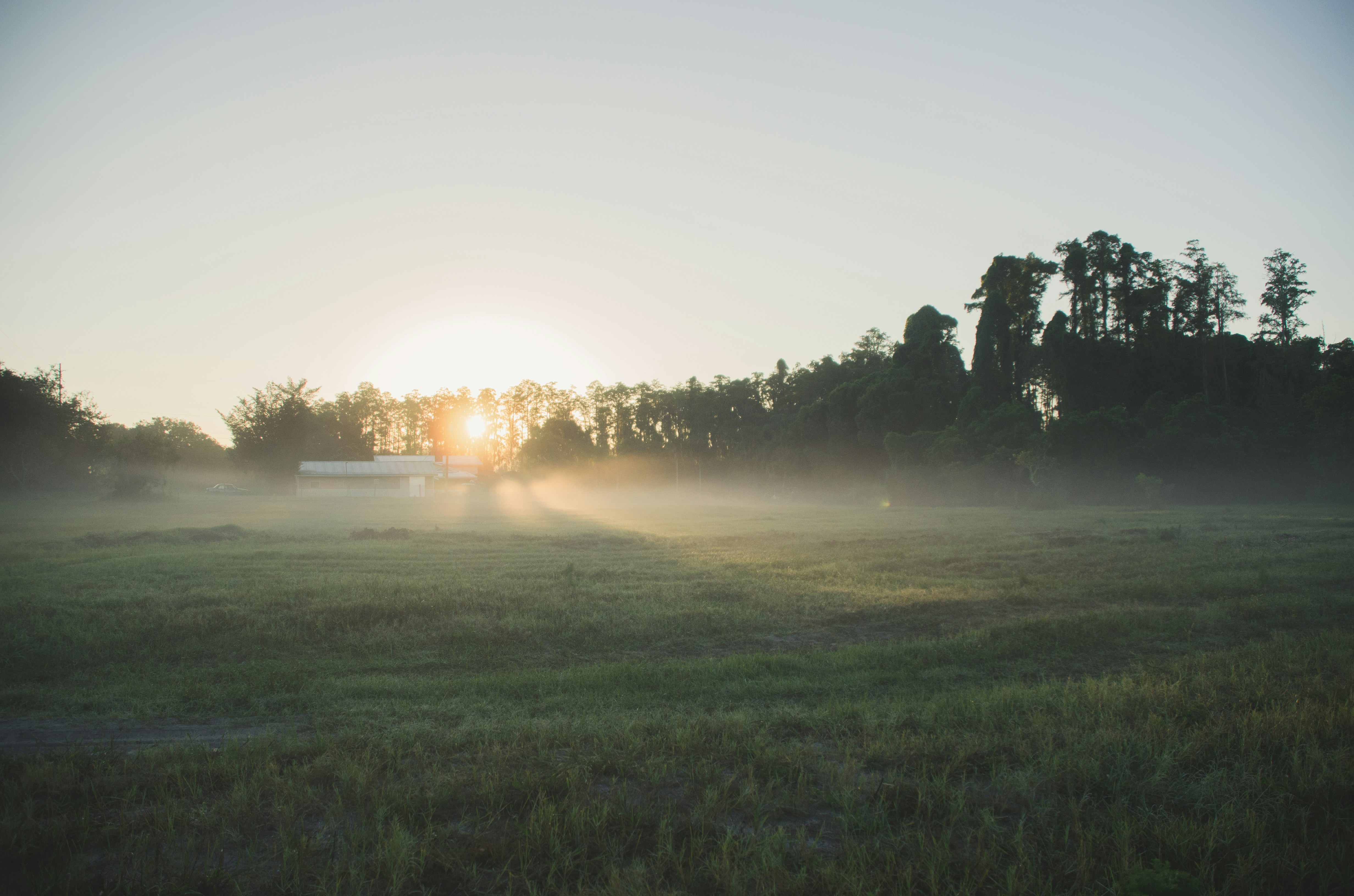 Photo by ameliabartlett