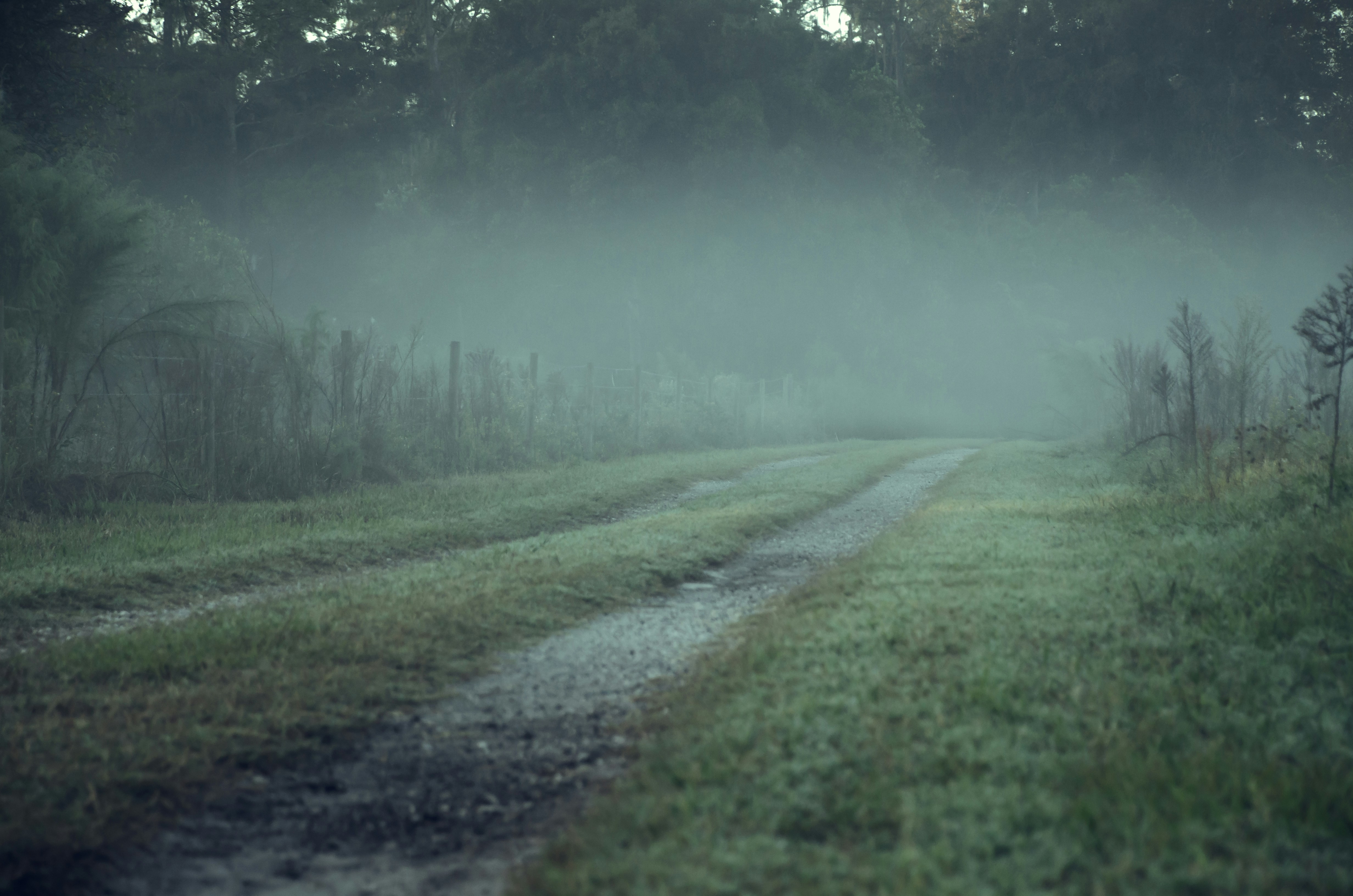 Photo by ameliabartlett