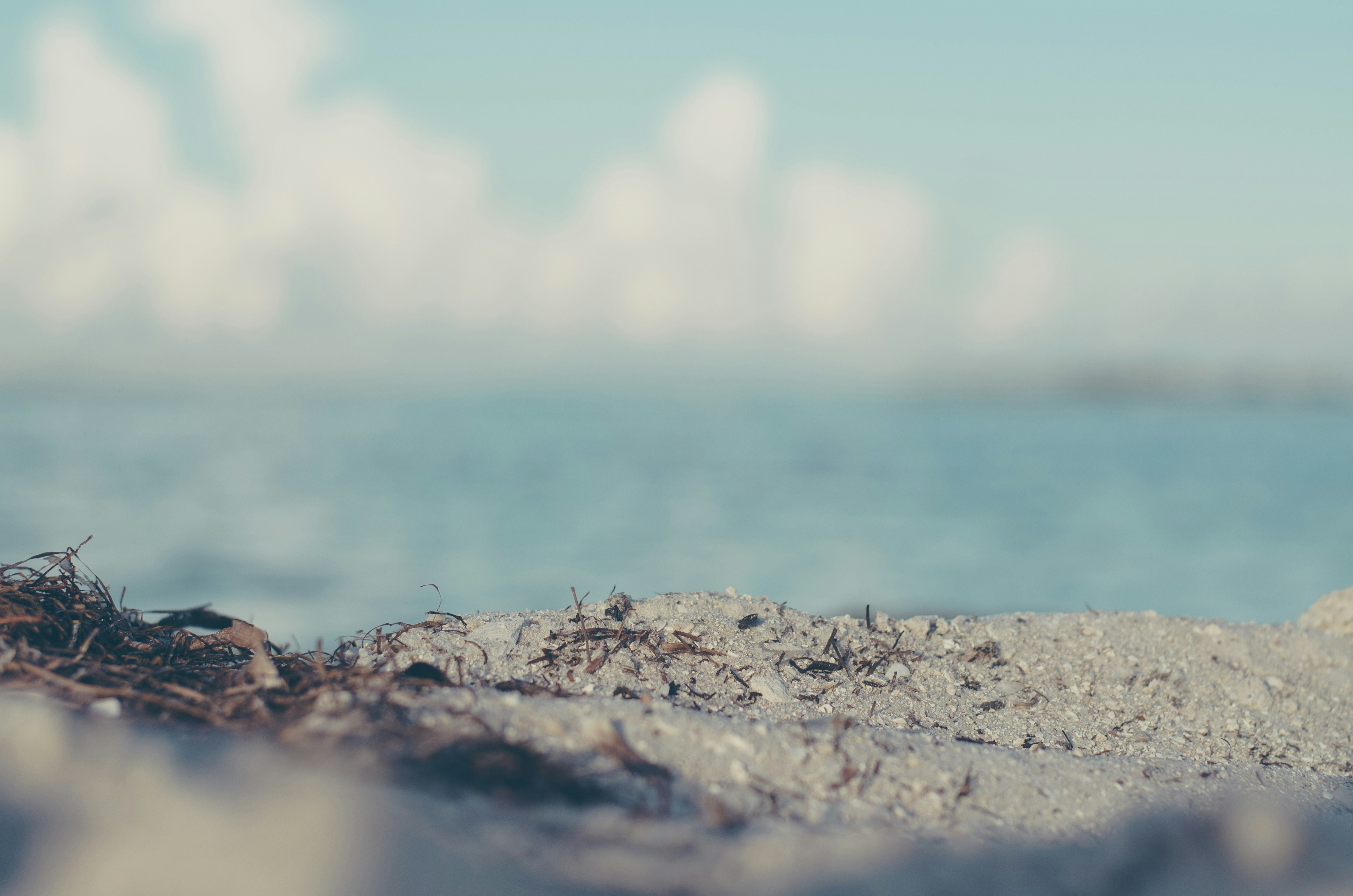 Photo by ameliabartlett