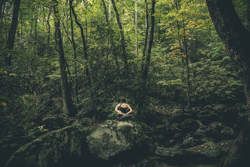 personne dans la forêt pendant la journée