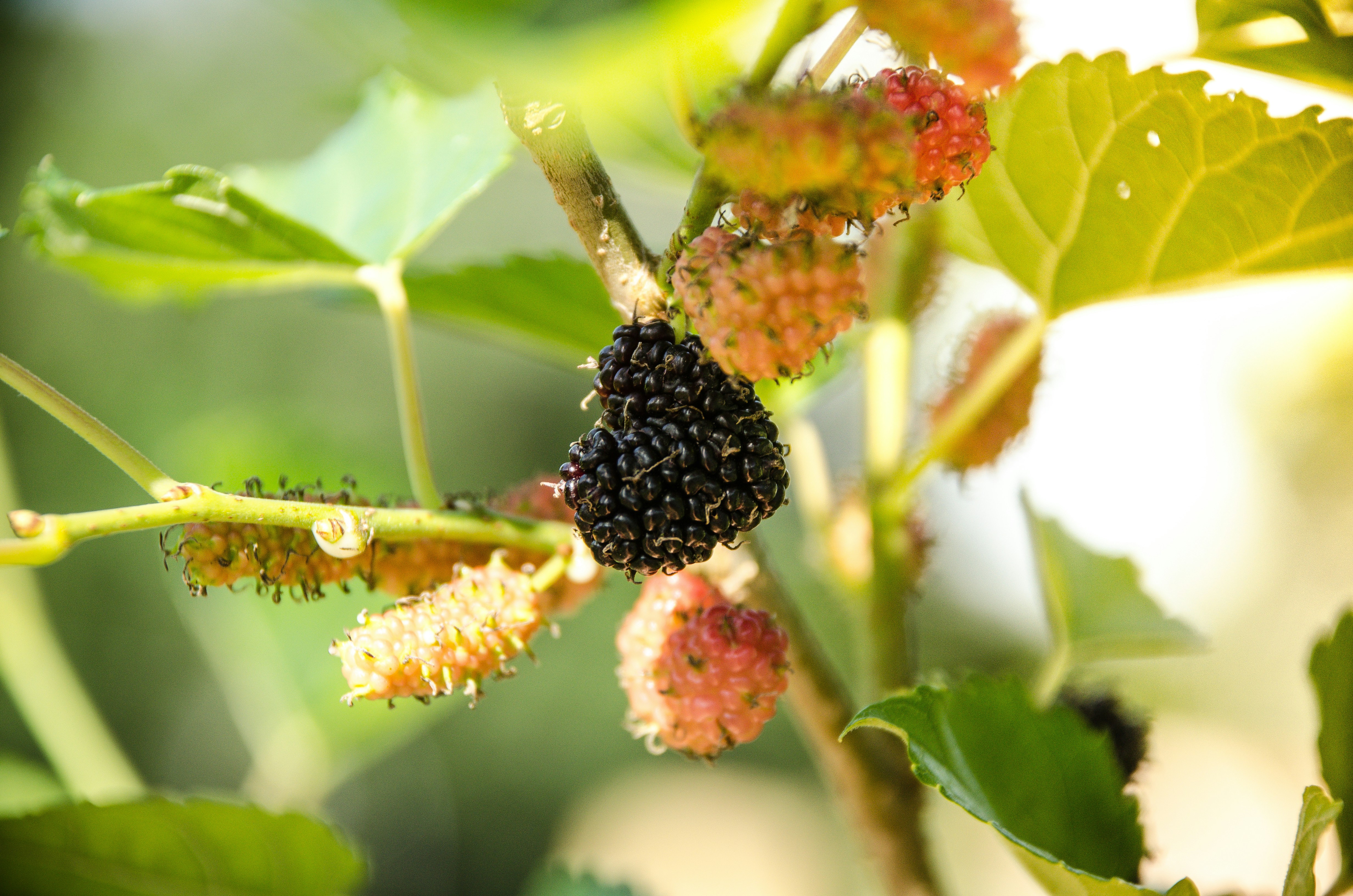 Photo by ameliabartlett