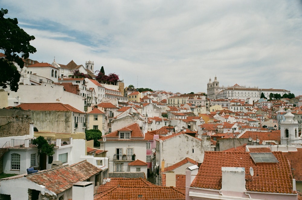 white-and-brown houses