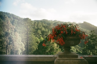 A lush green landscape with a stone railing in the foreground, which holds a large stone planter filled with vibrant red flowers. The background features a distant view of rolling hills and dense forests under a slightly cloudy sky.